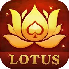 teen patti chips purchase download